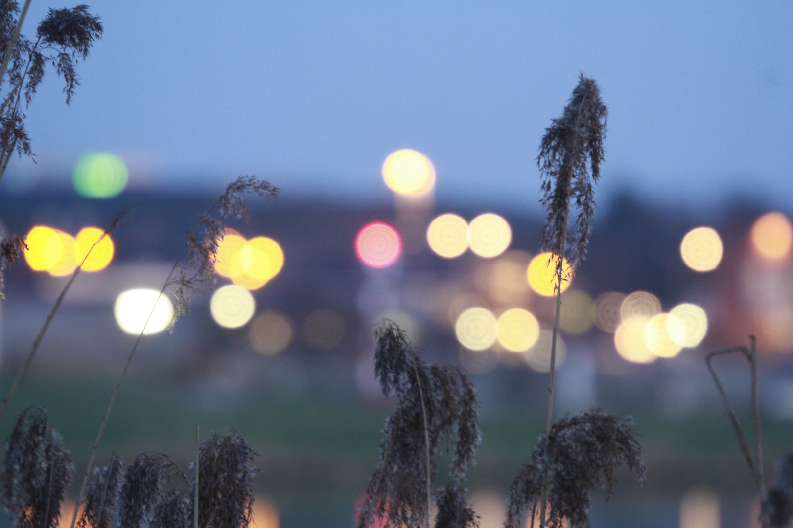 Roermond im Hintergrund