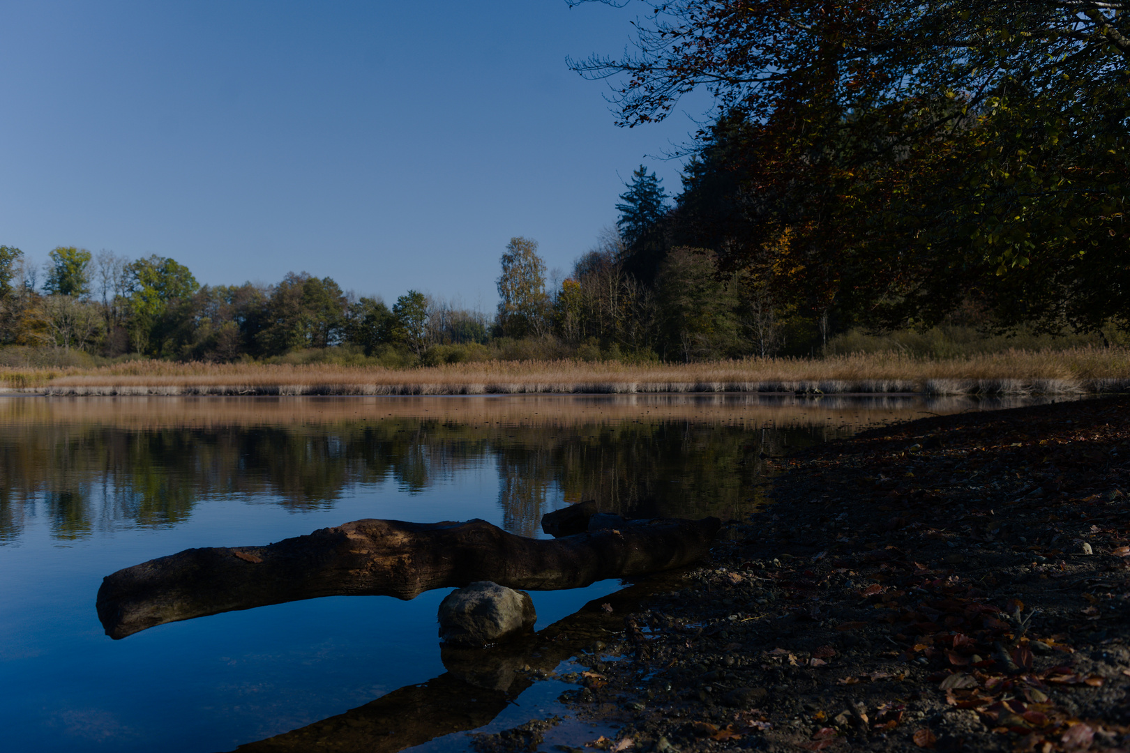 Rößler Weiher