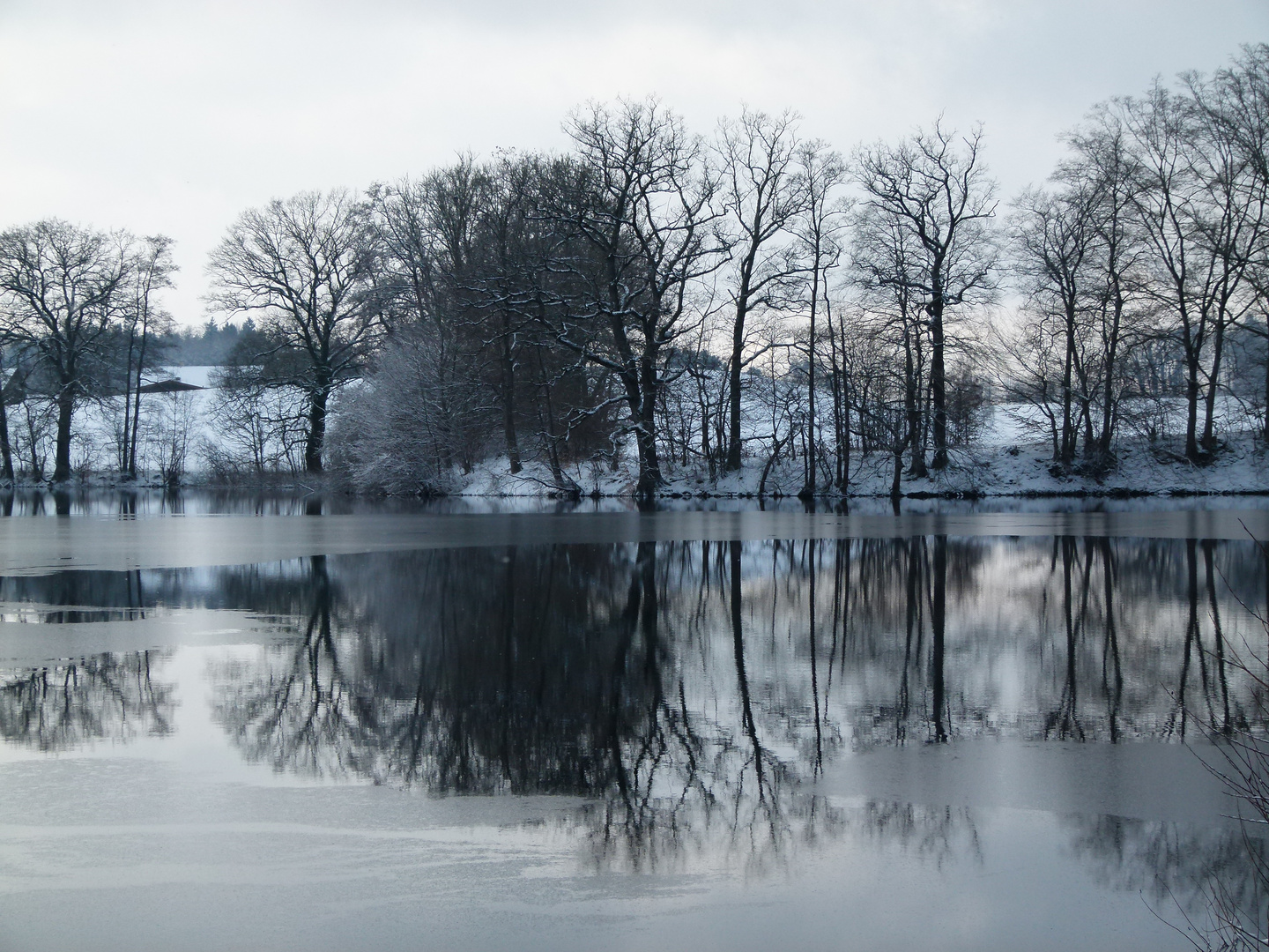 Rösslerweiher im Winter