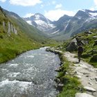 Rötalm im Ahrntal (Südtirol)