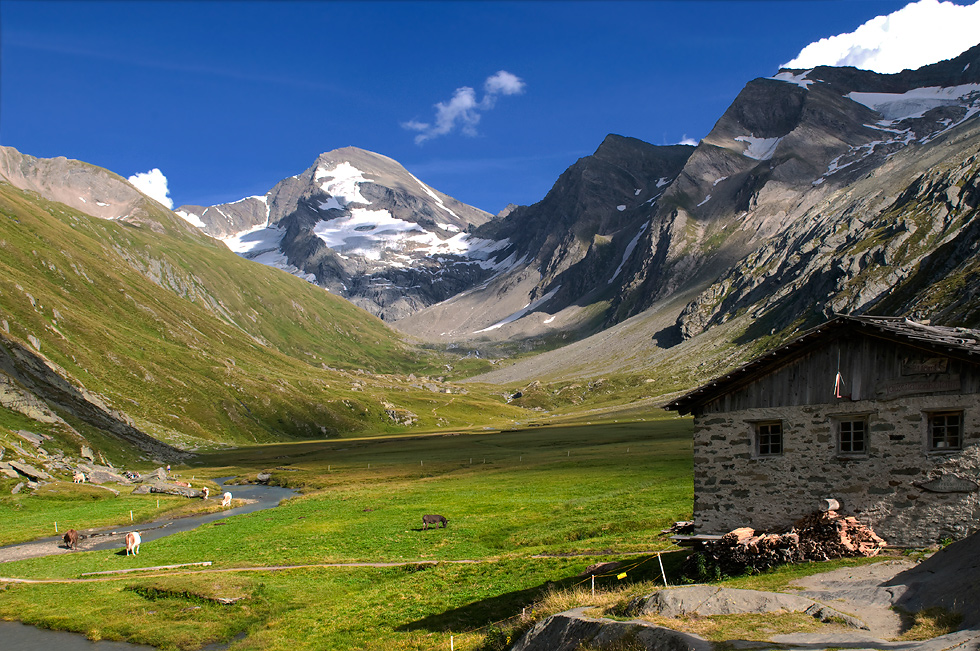 ... Rötalm - im Hintergrund die Rötspitze (3495m) ...