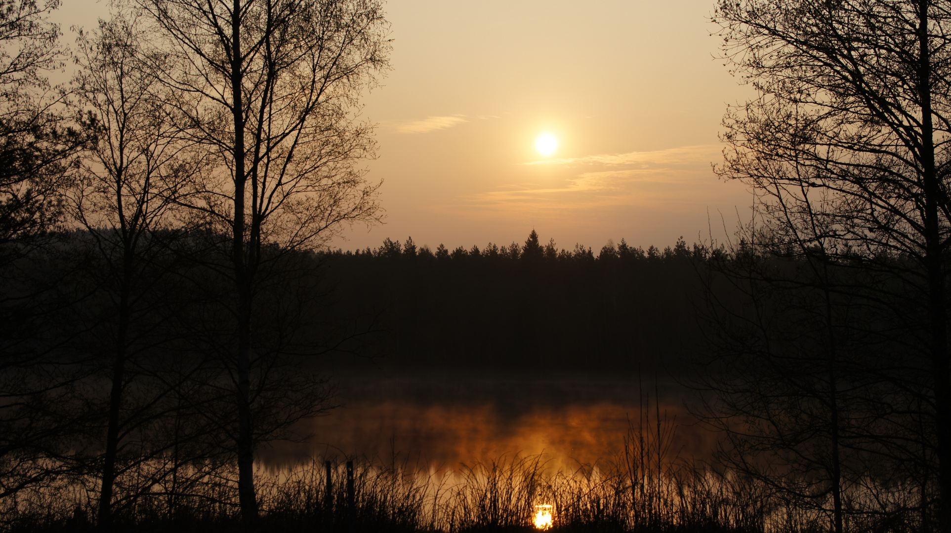 röte eines wundervollen morgens