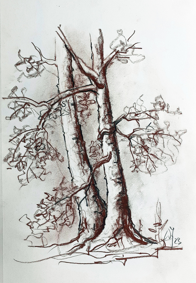 Röte-& Kohlestift_Baum Eggenberg plein air_ACTION Skizzenbuch_30x42_bearbeitet-1