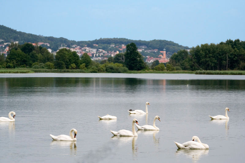 Rötelseeweiher