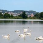 Rötelseeweiher