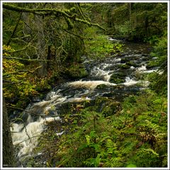 Rötenbachschlucht-2024-003