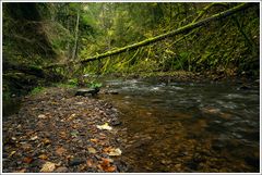 Rötenbachschlucht-2024-004