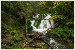 Rötenbachschlucht-2024-005