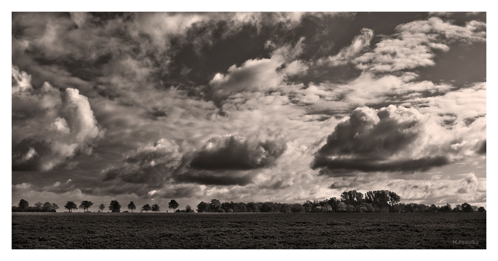 Rötgesbüttler Landschaft im Herbst