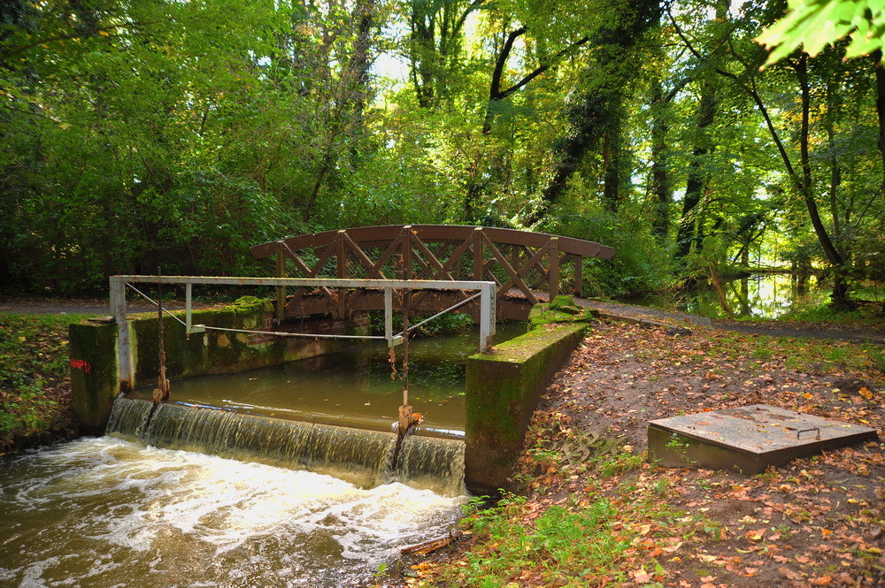 Rötha Schloßpark .