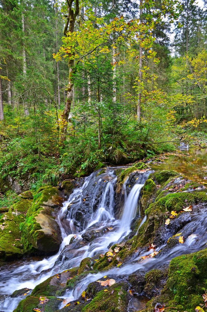 Röthelmoosklamm