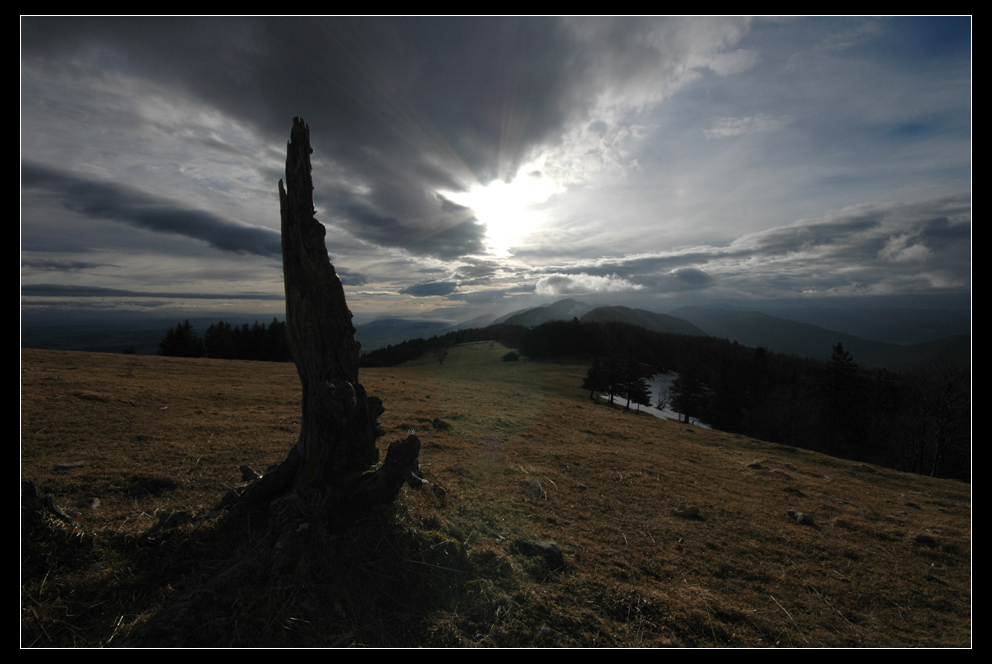 -RÖTI - WEISSENSTEIN -