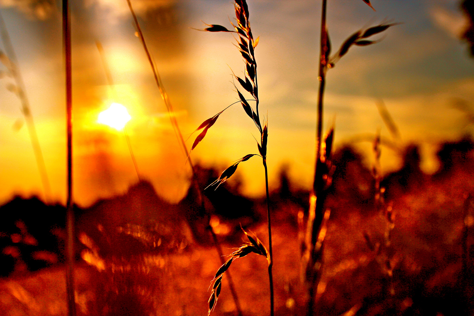 rötliche Abendstimmung