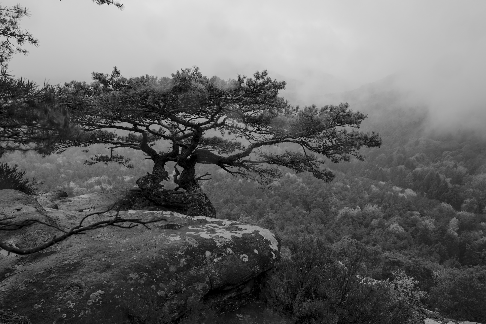 Rötzenfelsen-BW-01-BP1+TW