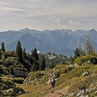 Rofangebirge bei Maurach am Achensee