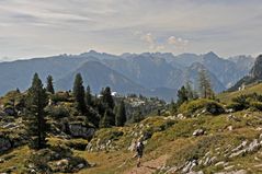 Rofangebirge bei Maurach am Achensee