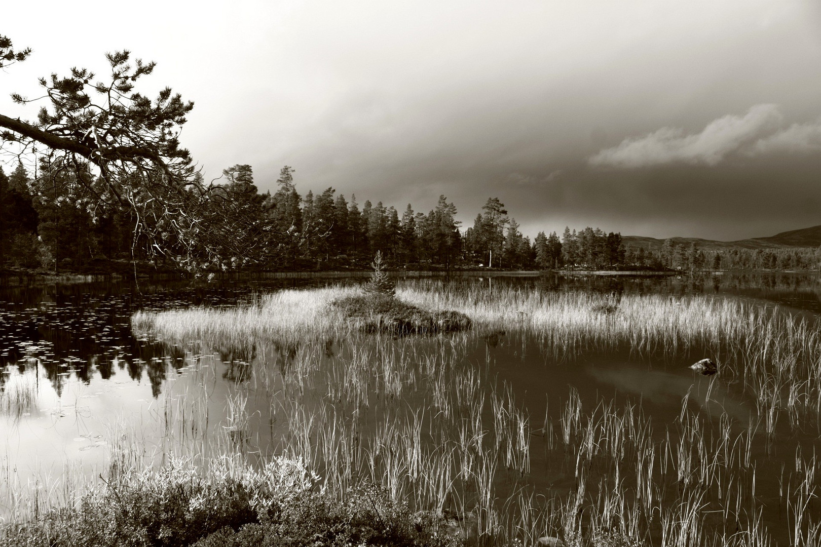 Rogen Nationalpark/Femundsmarka