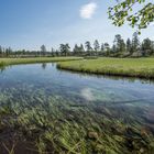 Rogen Naturreservat