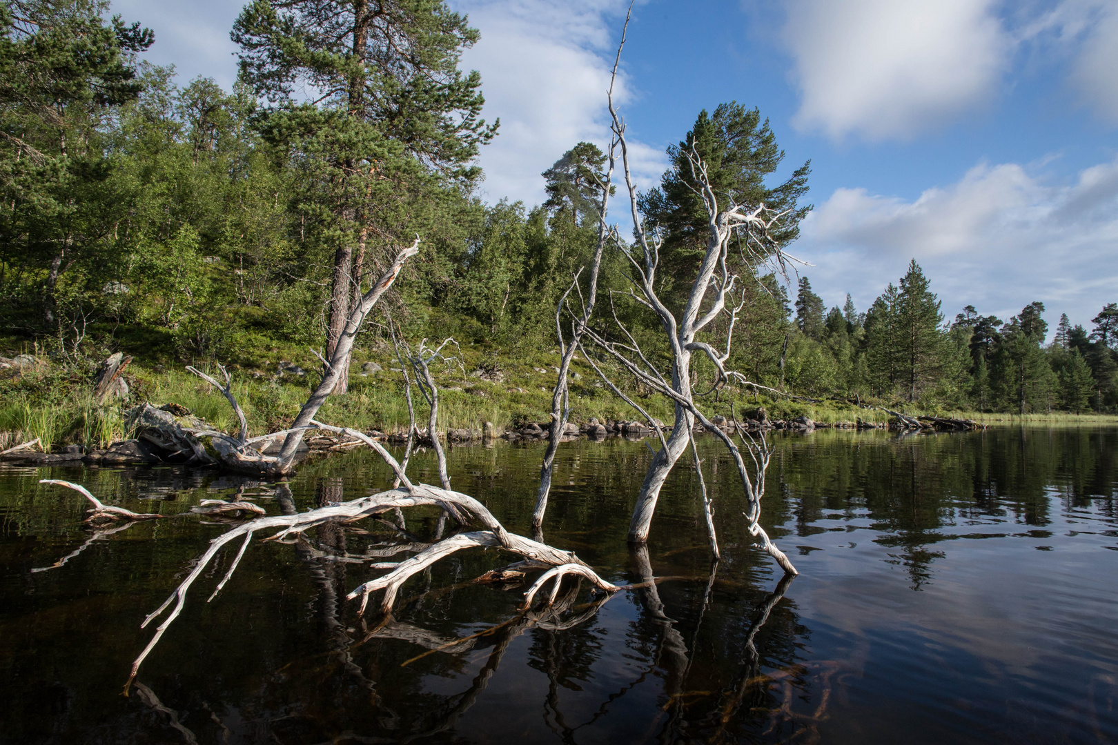 Rogen Naturreservat