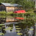 Rogen Naturreservat