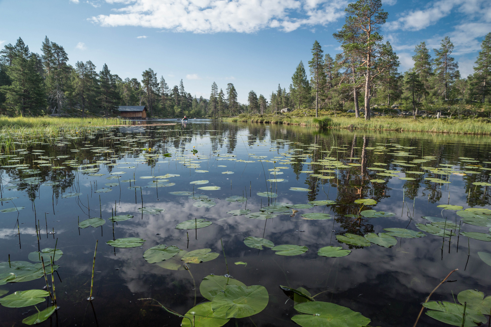 Rogen Naturreservat