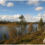 Rogen Naturreservat