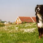 Roger in Norddeutschland