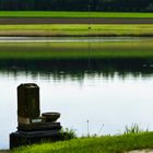 Roggenburger Weiher