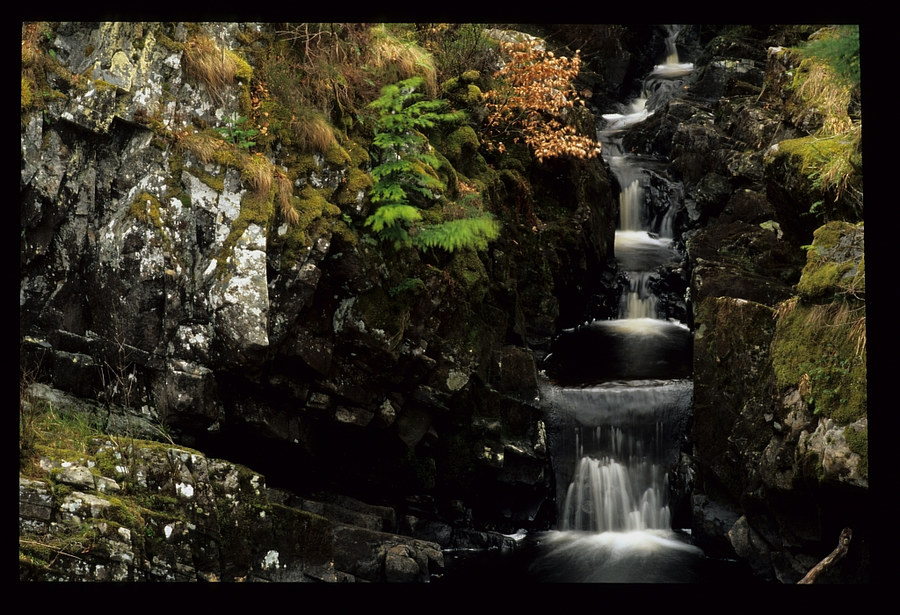 Rogie falls