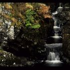 Rogie falls