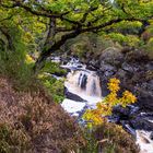 Rogie Falls (Scottish Highlands)