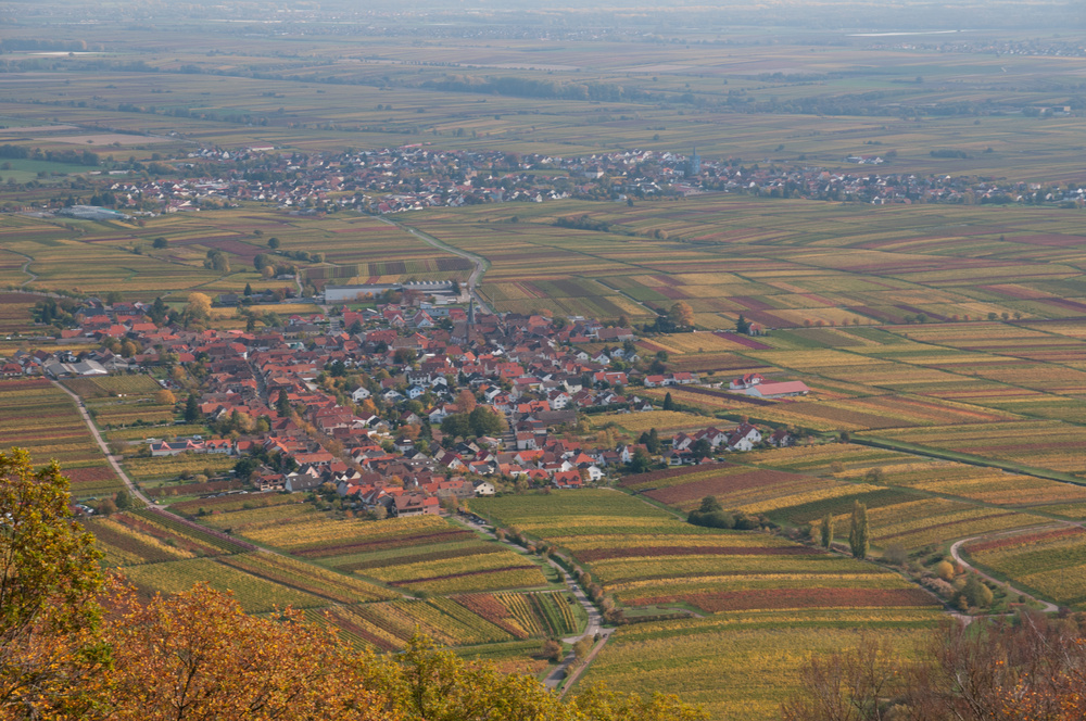 Rohdt unter Riedburg