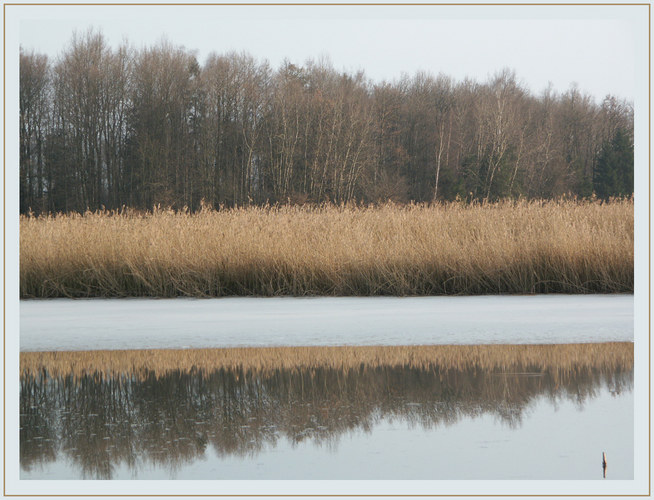 Rohr im Wasser