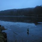 Rohrbacher Weiher im Januar