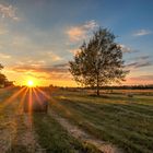 Rohrbecker Landschaft