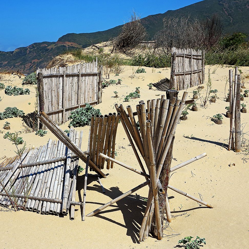 Rohrgeflecht am Strand  ... / Le canne in spiaggia  ...