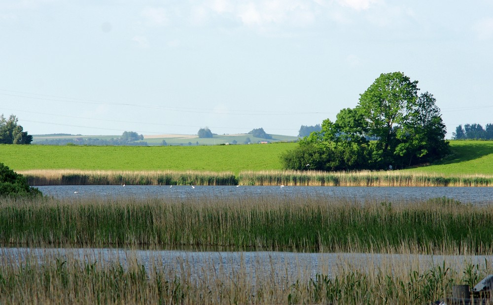 Rohrsee