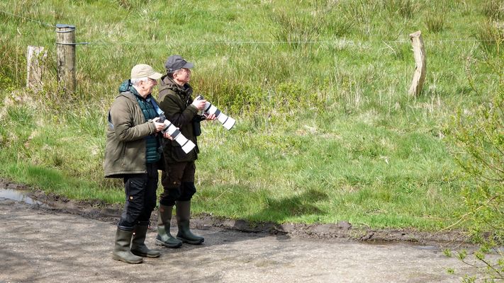 Rohrspezialisten auf Vogelfang