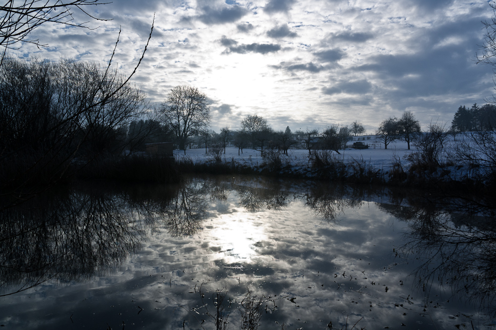 Rohrweiher von freitaucher 