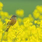 Rohstoff und Natur