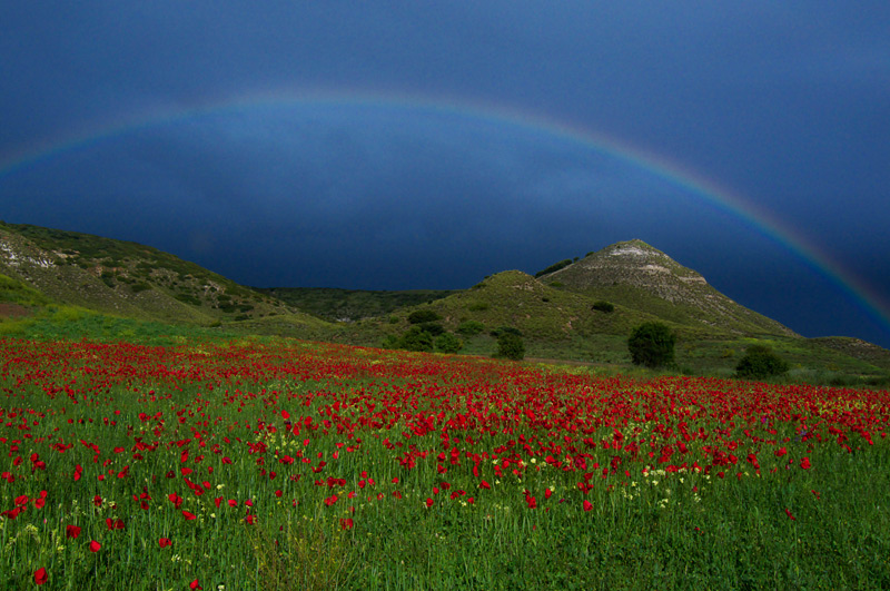 Rojo bajo el arco iris