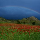 Rojo bajo el arco iris