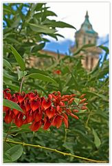 Rojo corazón (Rote Herzen)