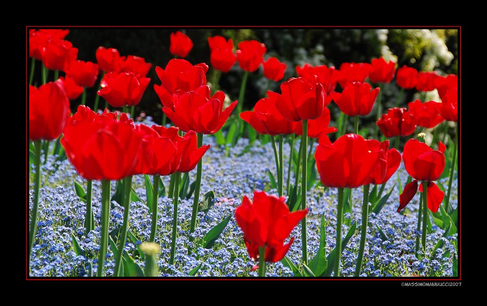 Rojo y Azul