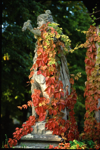 Rokkokogarten, Veitshöchheim