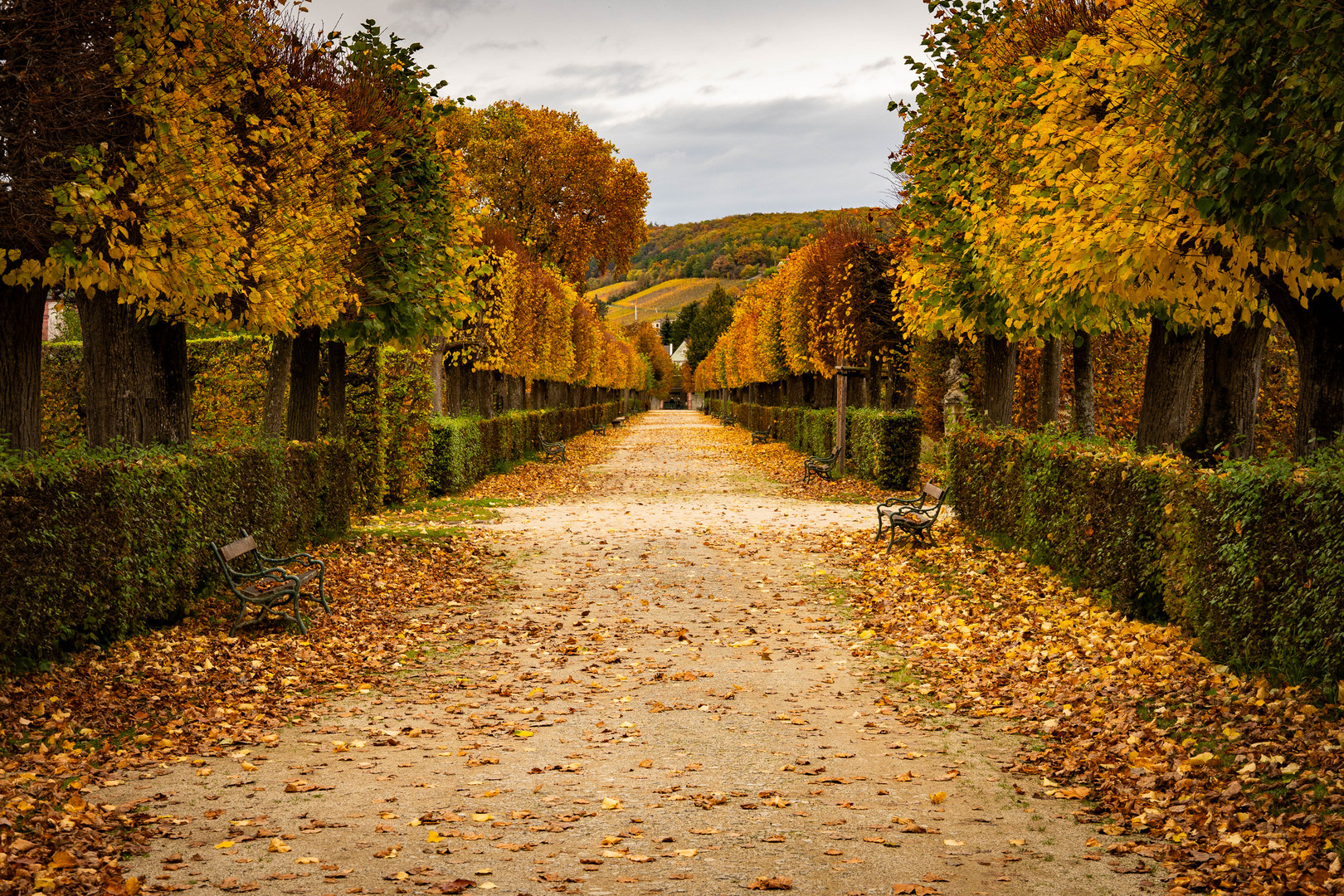 Rokoko Stadtpark