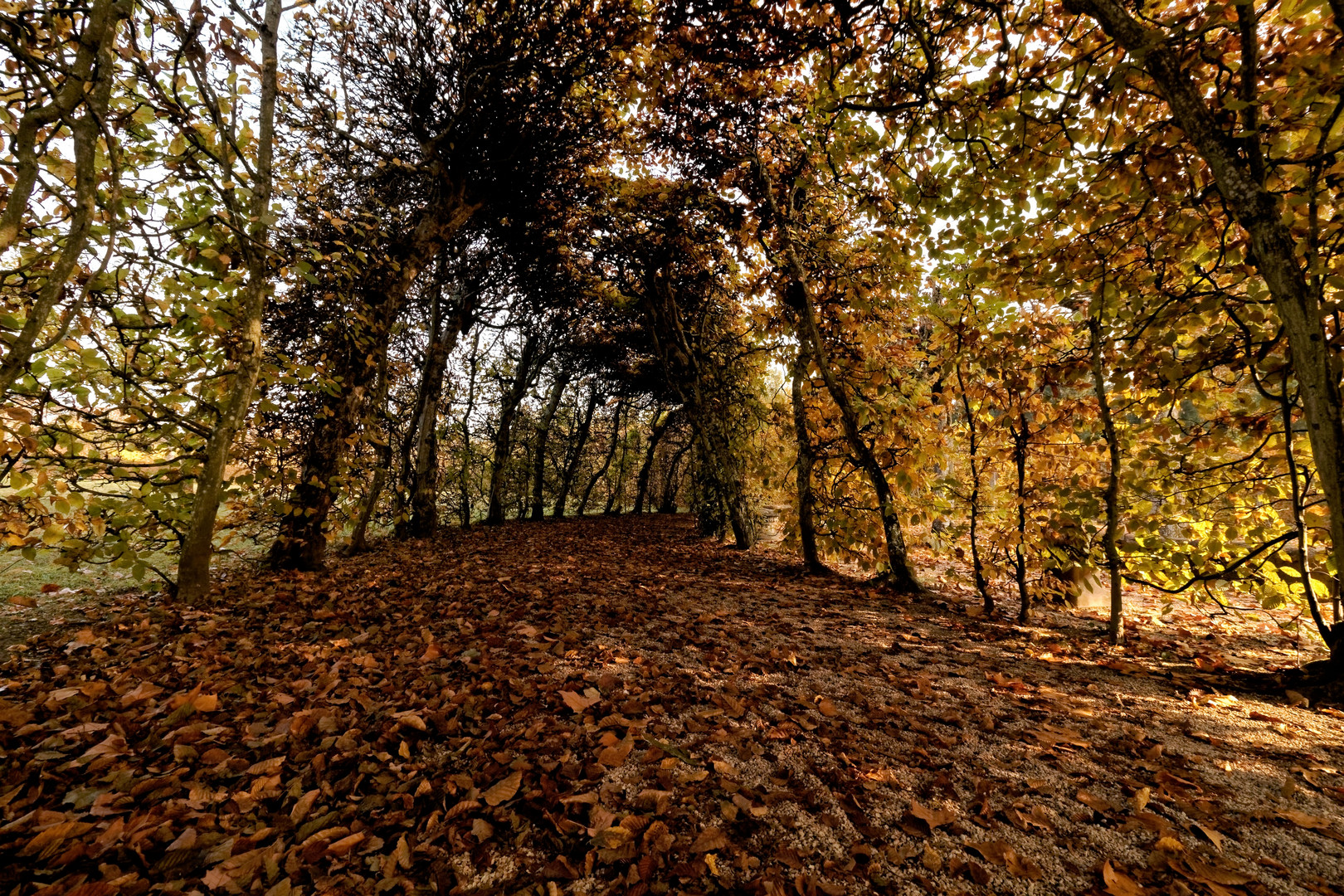 Rokokogarten Veitshöchheim