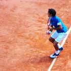 Roland Garros 2010