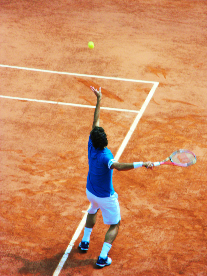 Roland Garros 2010.