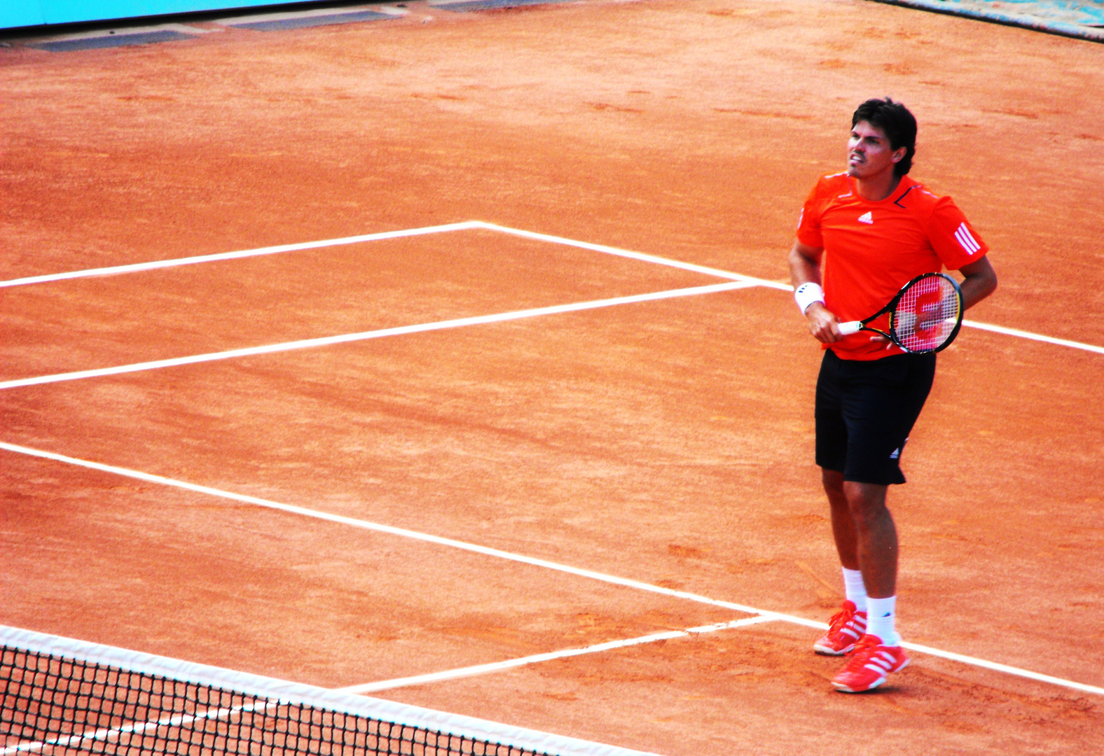 Roland Garros 2010...